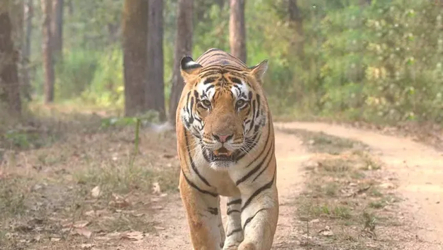 Mukandara Hills National Park