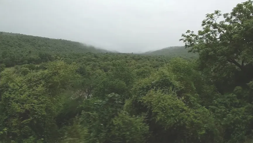 Darrah Wildlife Sanctuary