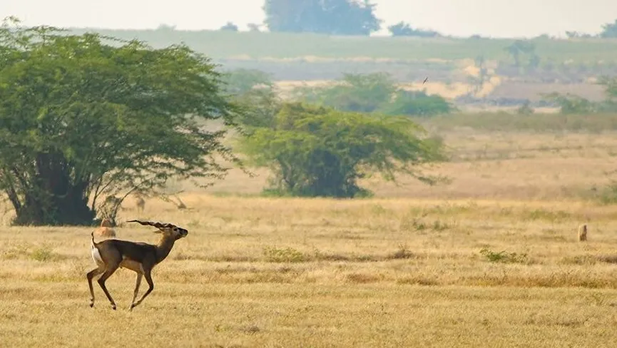 Ranipur Wildlife Sanctuary