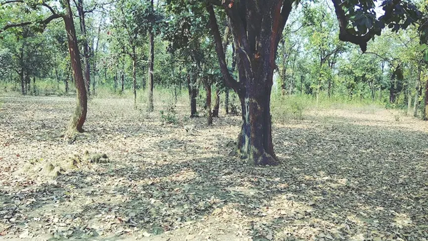 Panpatha Wildlife Sanctuary