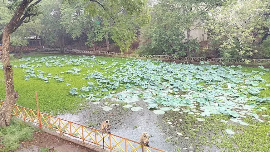 Bhadaiya Kund Shivpuri