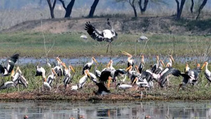 Sandi Bird Sanctuary
