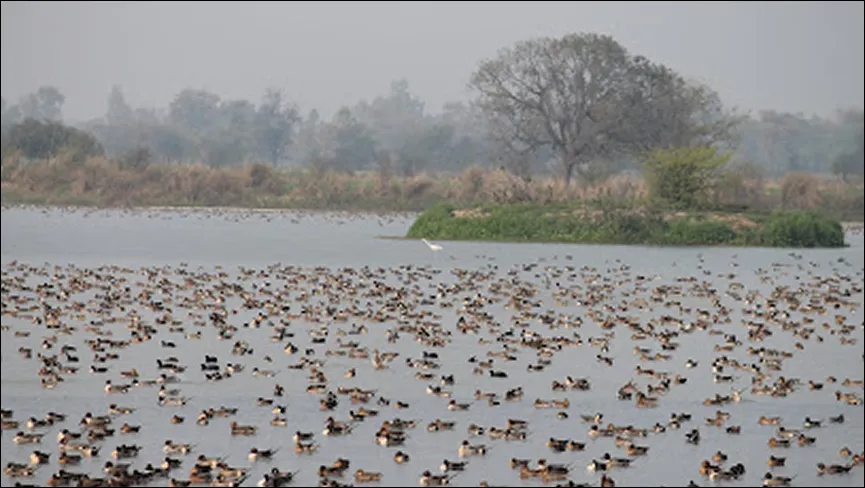 Lakh Bahosi Bird Sanctuary