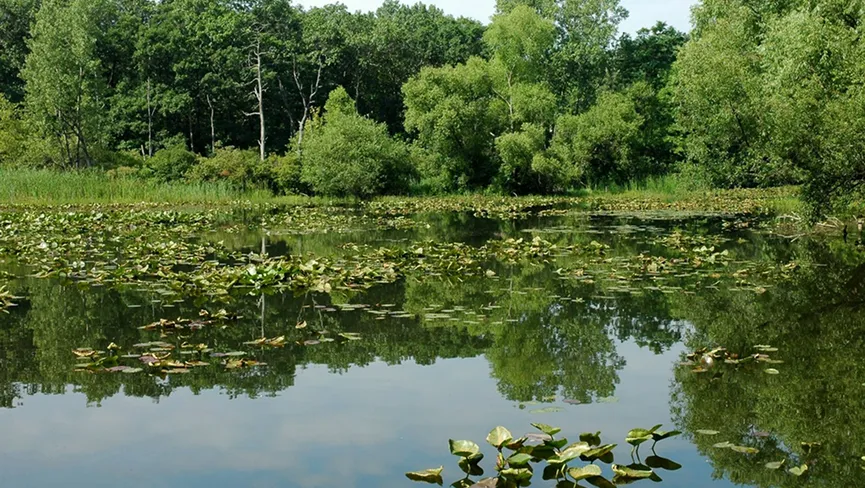 Hirrwah ponds