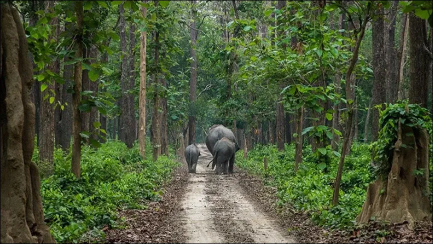 Sohagi Barwa Wildlife Sanctuary