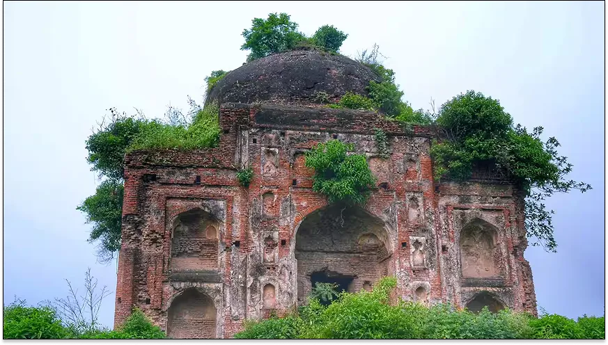 Tomb of Timur Shah Bahadur