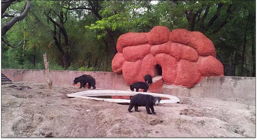 Kakatiya Zoological Park