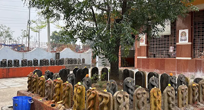 Koti padagala santhana nagadevatha temple