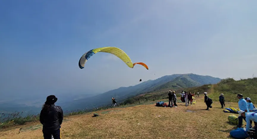 NewsSky Paragliding