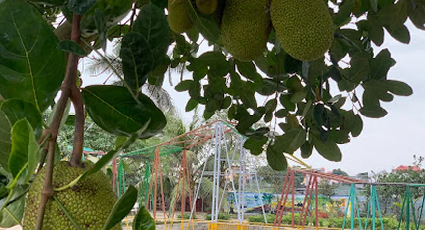 SKOLA EDUCATIONAL FARM