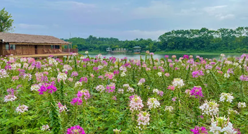 Phuc Tho Hoa Bay Ecological Garden