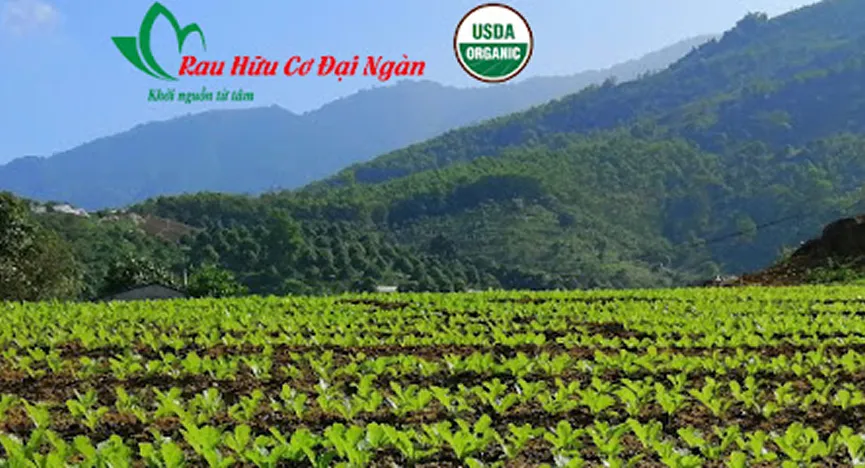 Hoa Vien Modern Farm