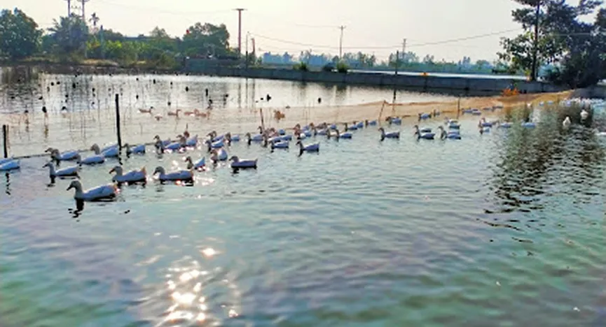 Son Loan Ecotourism Area