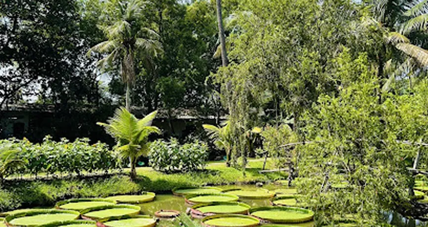 BINH QUOI TOURIST AREA 1