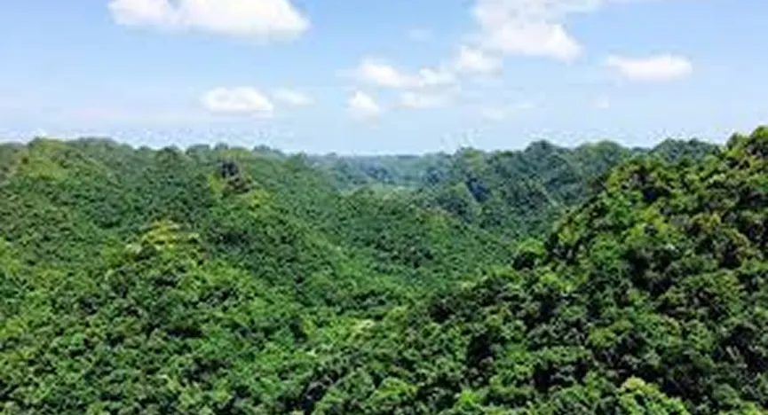 Cat Ba National Park