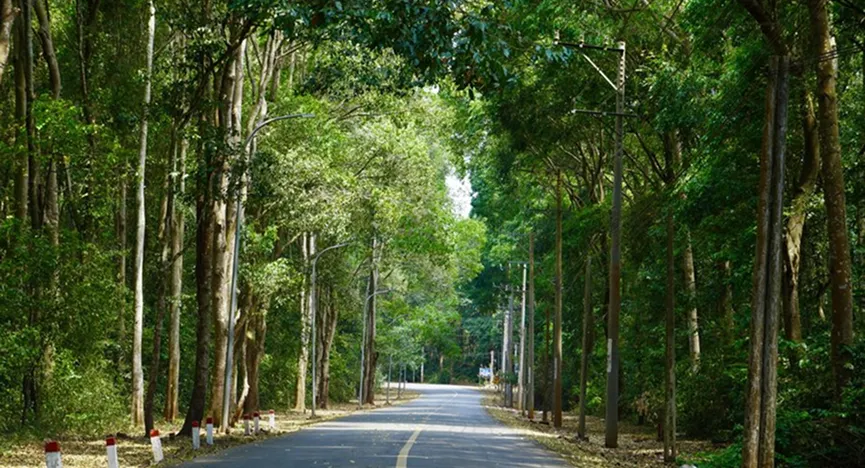 Binh Chau  Phuoc Buu Nature Reserve Management Board