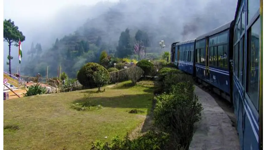 darjeeling