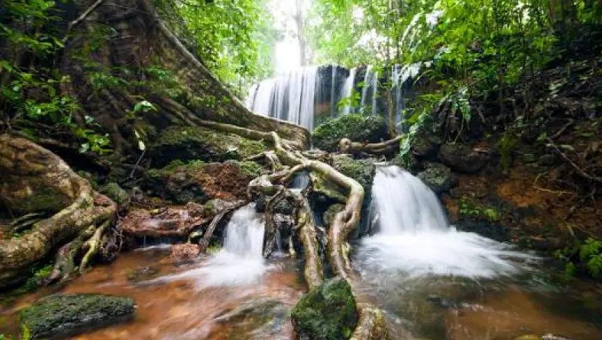Agumbe